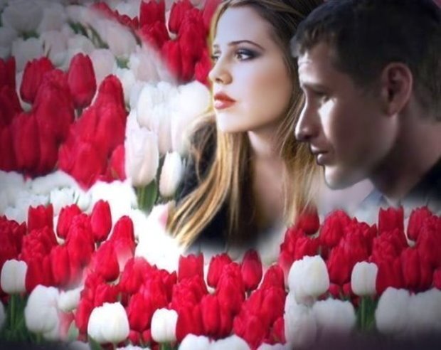 2010-04bTulip.jpg